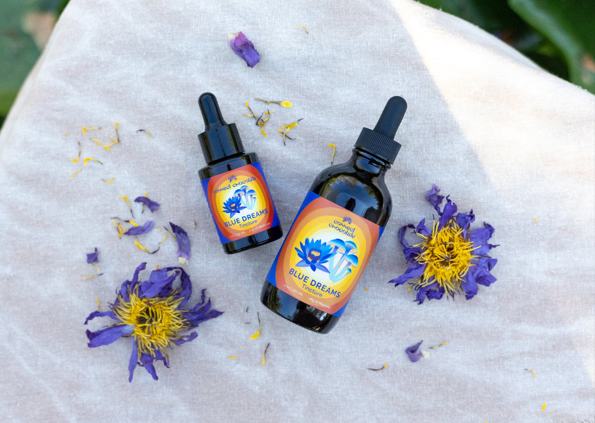 Blue Dreams Spagyric Alchemy Tincture